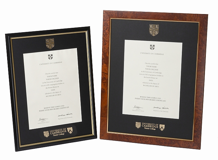 TRINITY COLLEGE CERTIFICATE PROGRAMS visual data 7